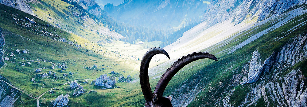 梦幻山水-瑞士畅享自然之旅