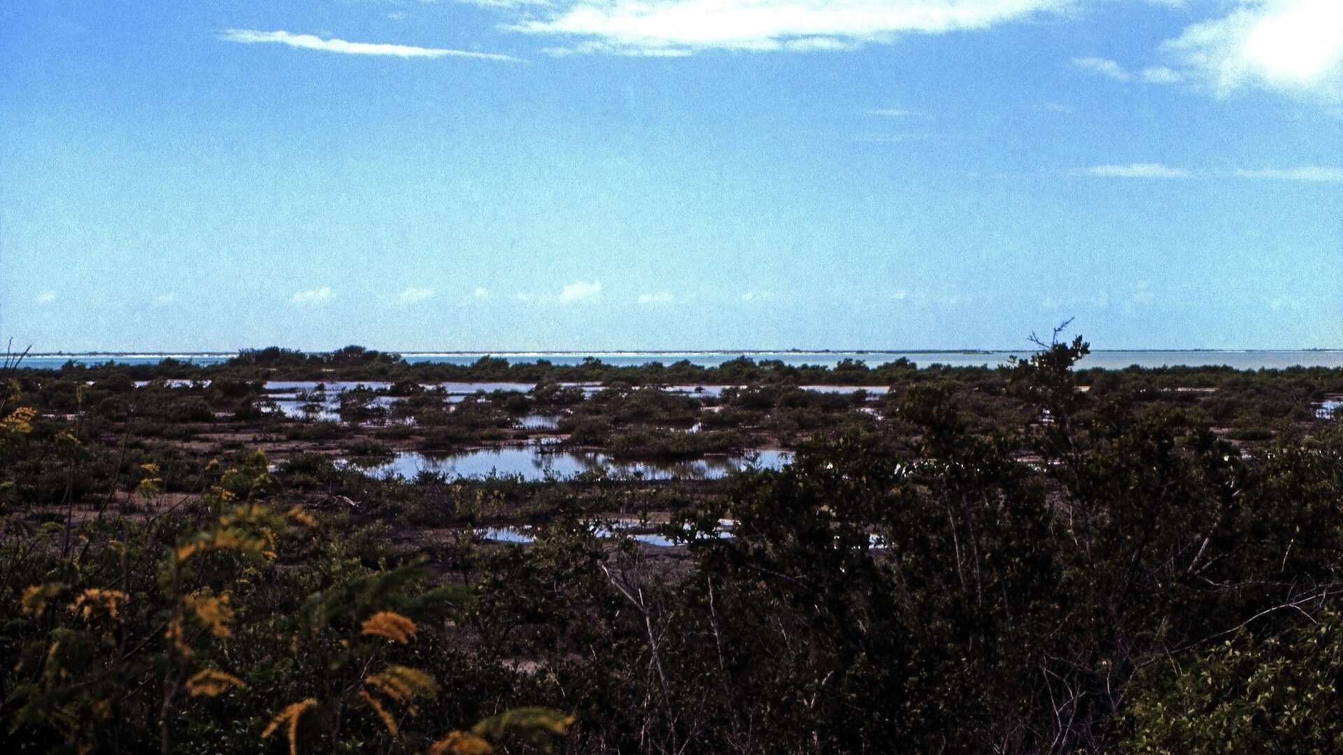 巴哈马风光 · 2