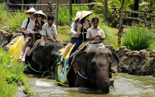 浓郁巴厘风情野生动物园为你打造趣味旅程 · 3