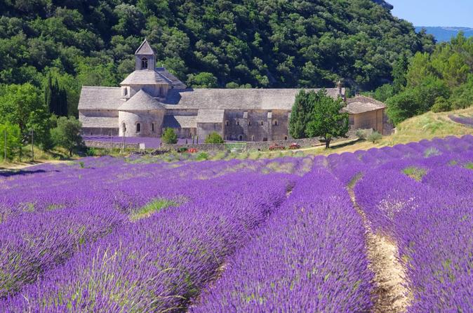 法国普罗旺斯薰衣草