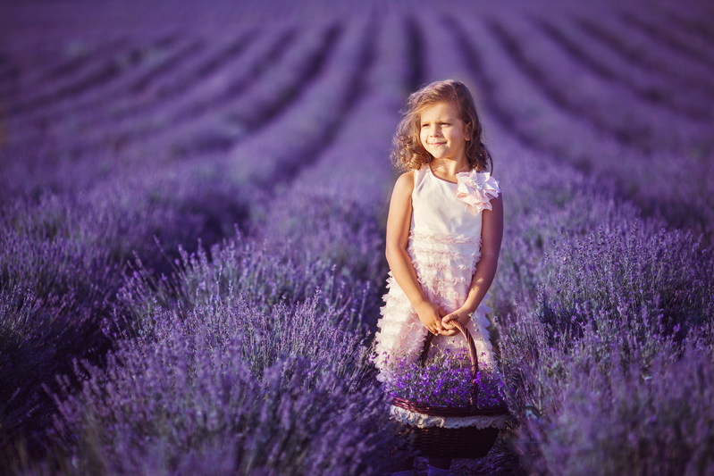 Smiling girl sniffing flowers in a lavender field