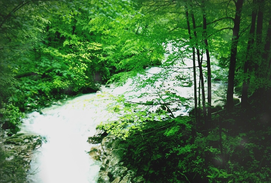 20120523142335_KKvnX