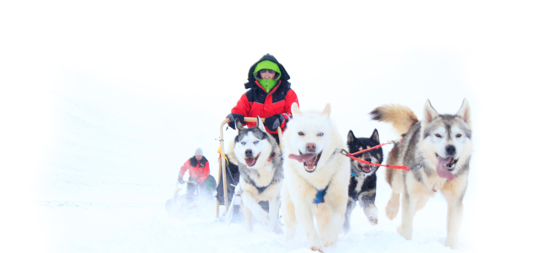 与雪橇犬一同在北极圈溜达——瑞典阿比斯库