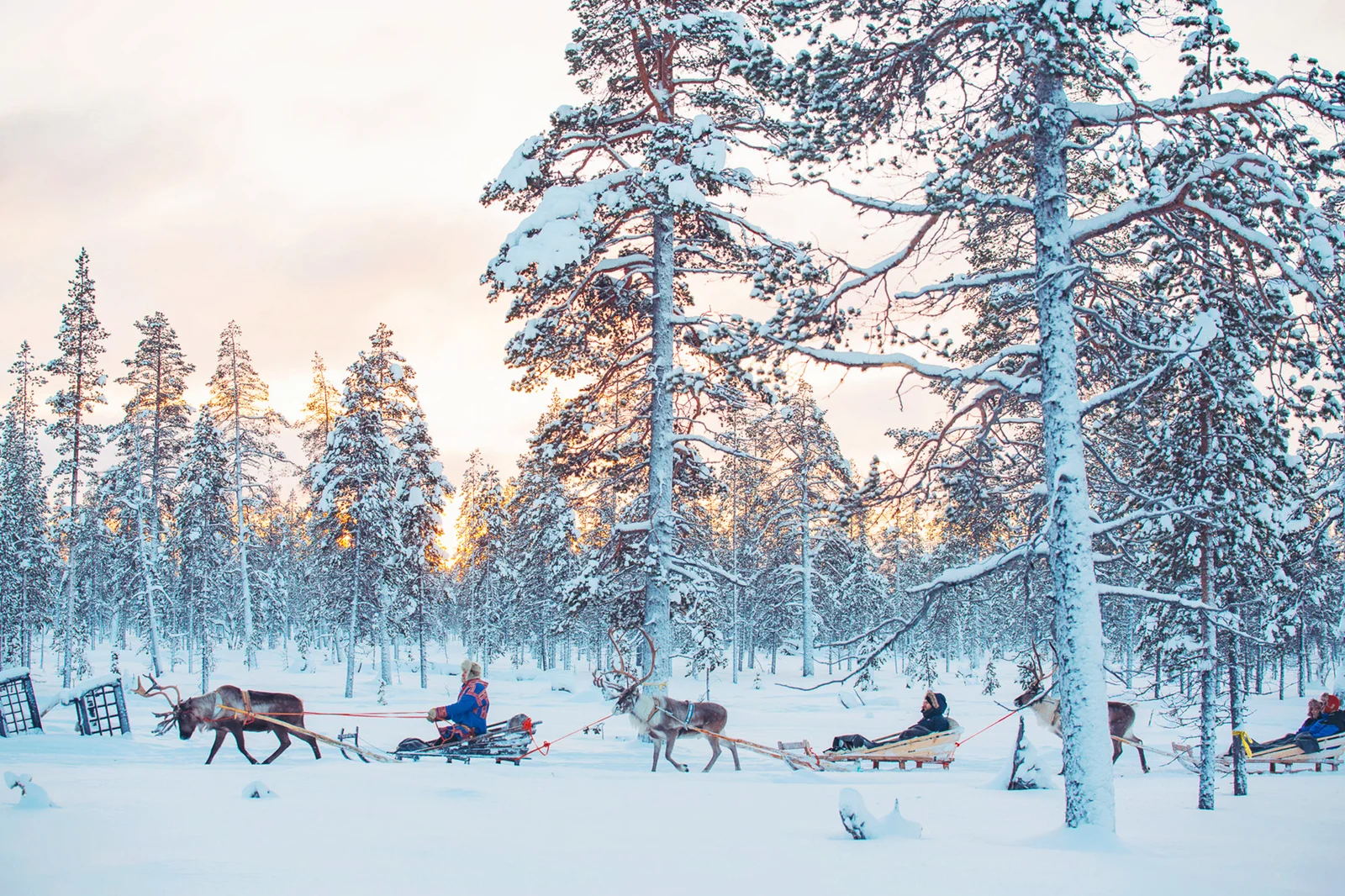 Kakslauttanen-reindeer-safari-21