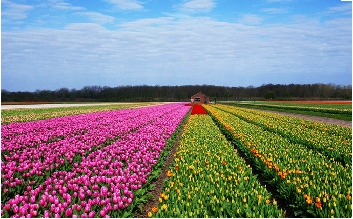 kenkenhof