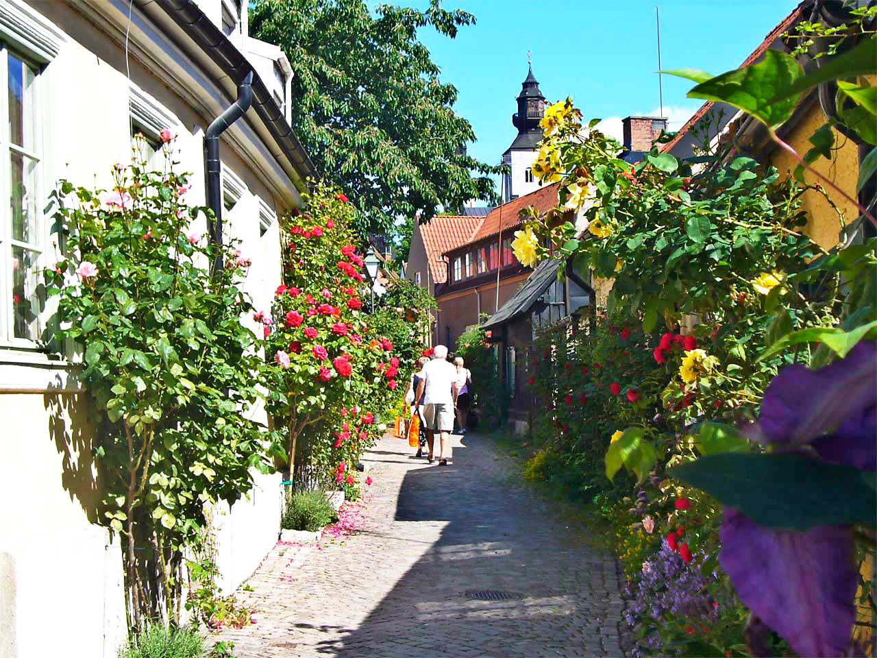 Gotland-sweden