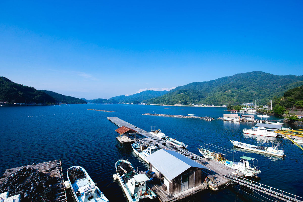 治愈宇和岛,探宝“珍珠大户”