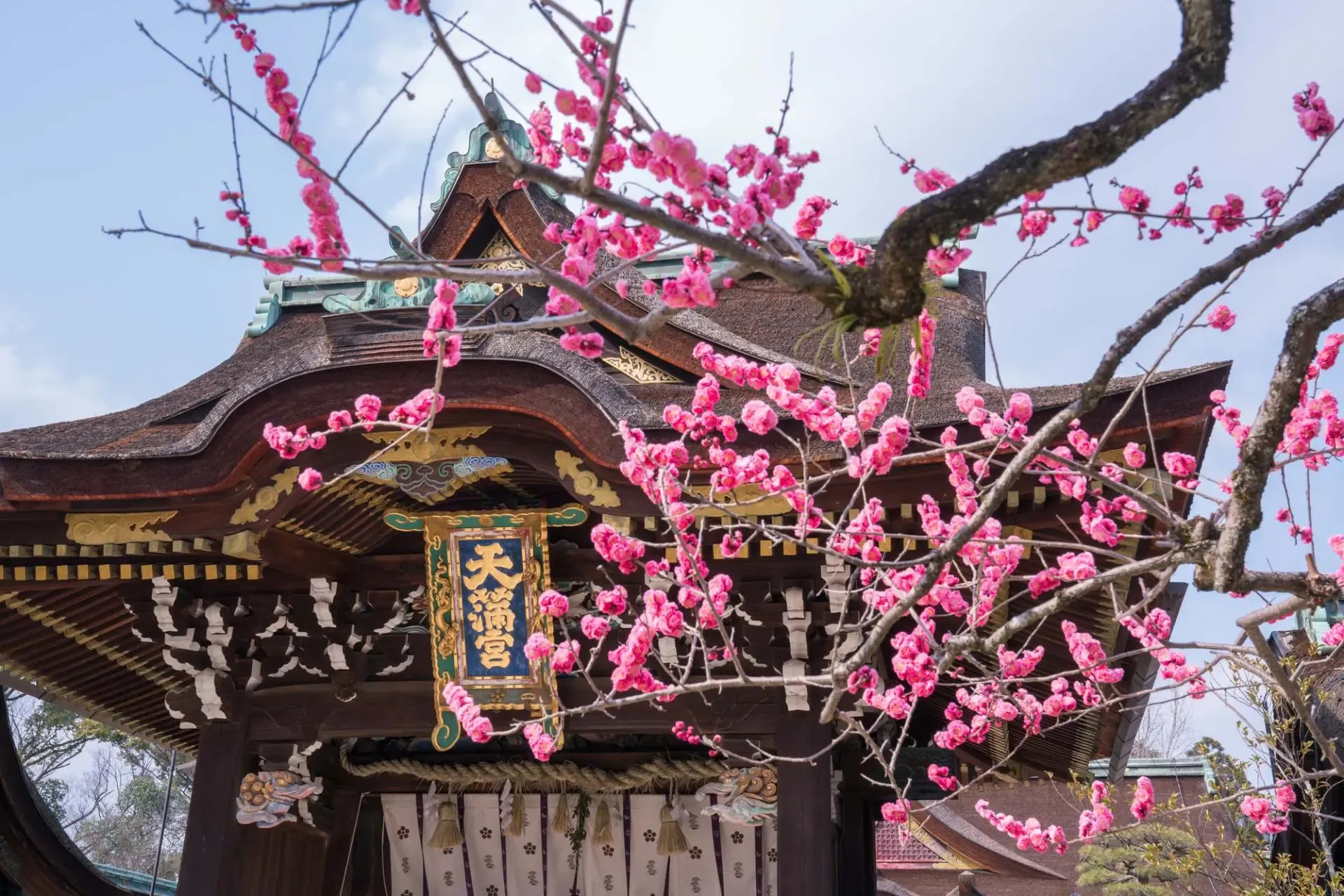 关西5天4晚海上京都冬梅花见之旅——伊根天桥立,美山合掌村 · 2