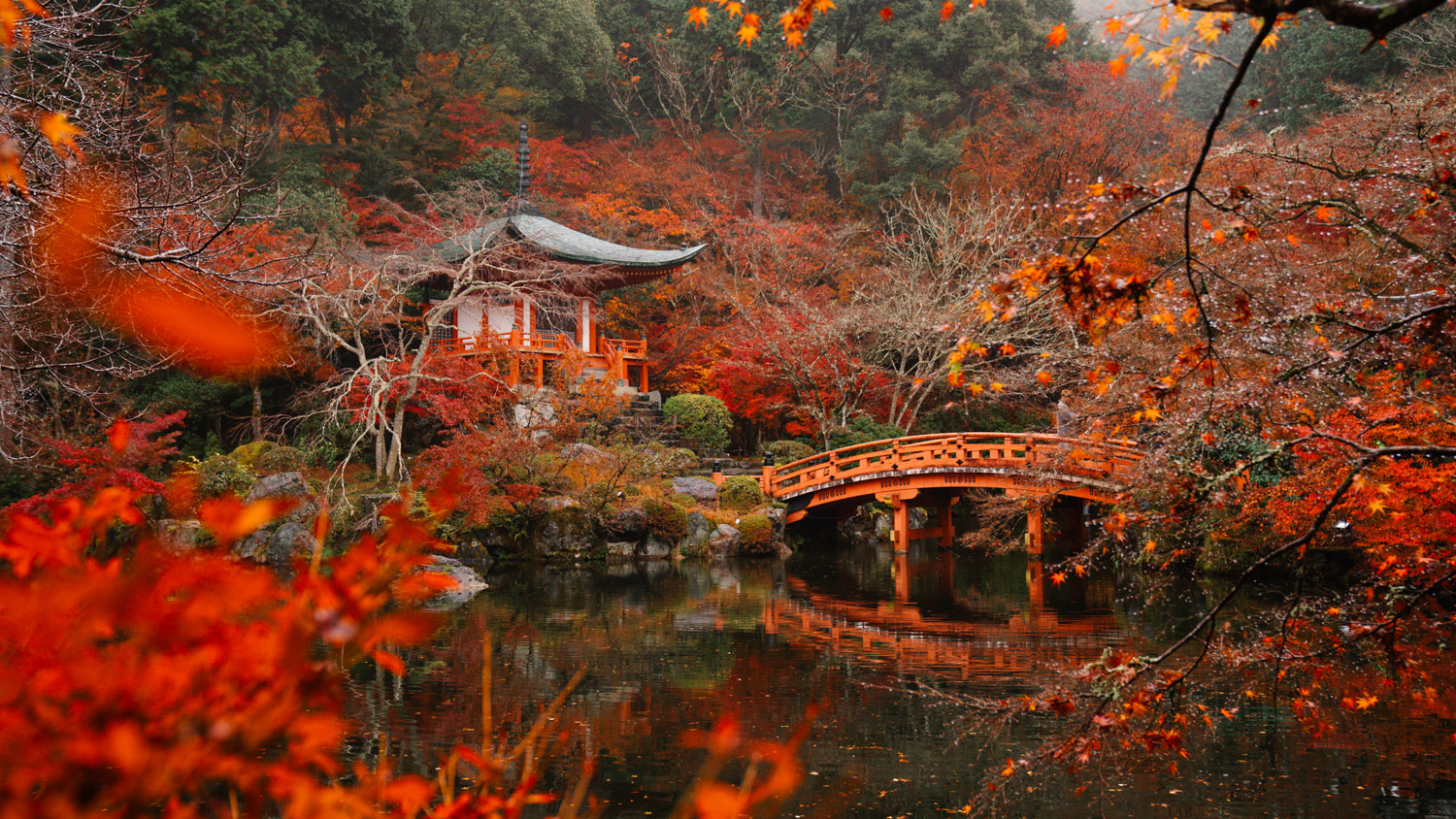 京都红叶之王