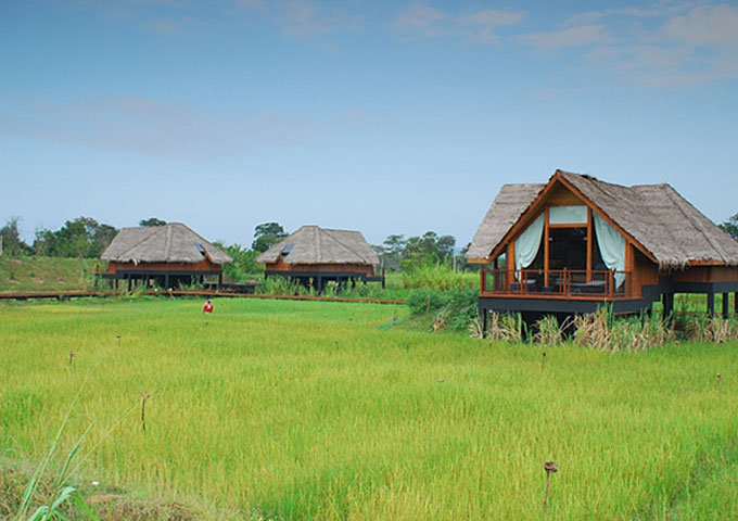 锡吉里耶Sigiriya/康提Kandy