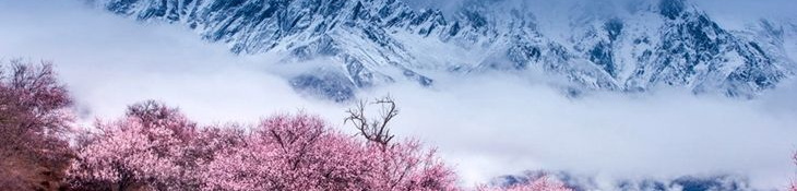 「寻访世界屋脊」西藏拉萨林芝7天6晚一生必访之旅——漫游日光之城 | 大峡谷热气球 | 环游“三大圣湖之一”羊湖